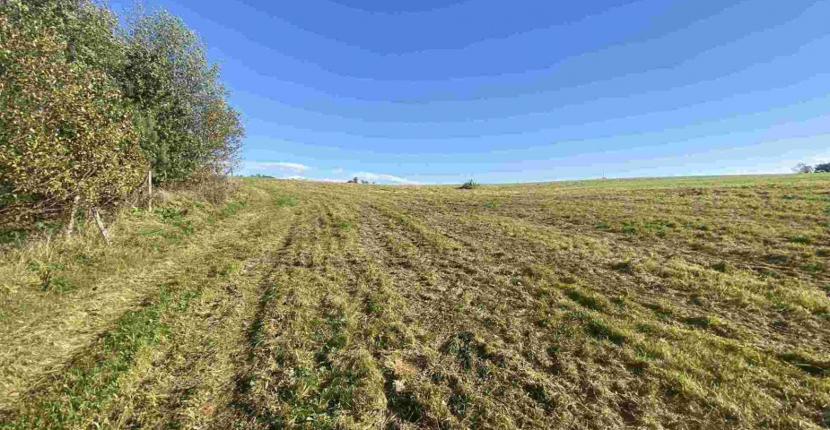 prodej pozemku k.ú. Svárov u Liberce