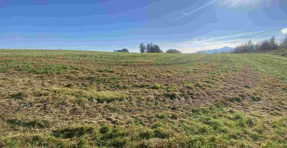 prodej pozemku k.ú. Svárov u Liberce