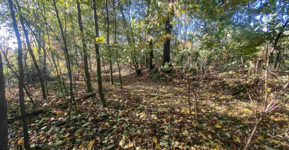 Prodej pozemku Zdislava