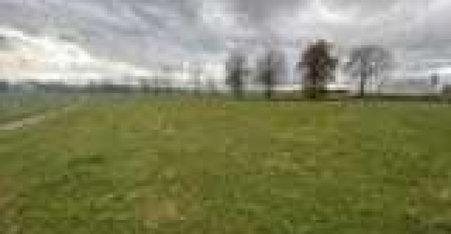 Prodej pozemků Strážkovice