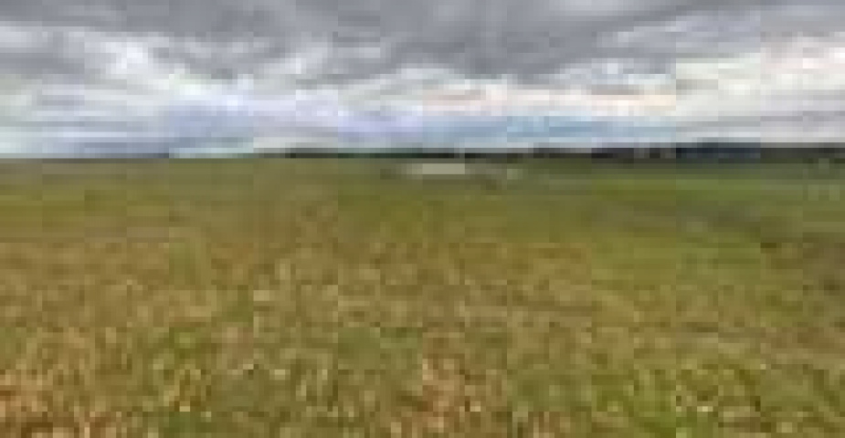 Prodej pozemků Strážkovice