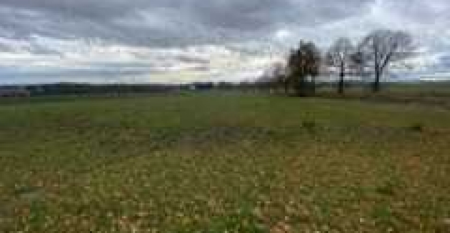 Prodej pozemků Strážkovice