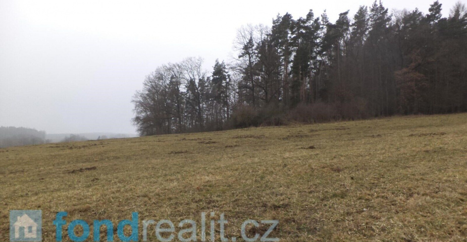 Prodej pozemků Bořkovice, obec Zvěstov, ostatní