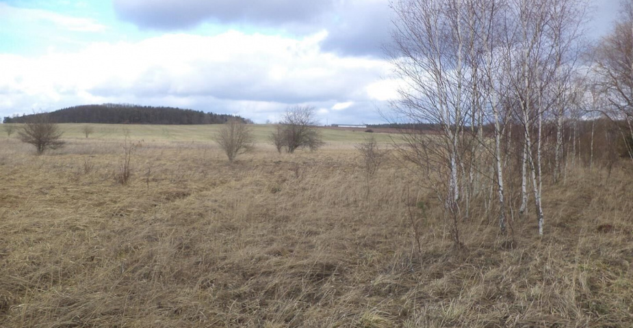 prodej pozemku k.ú. Úherce u Nýřan