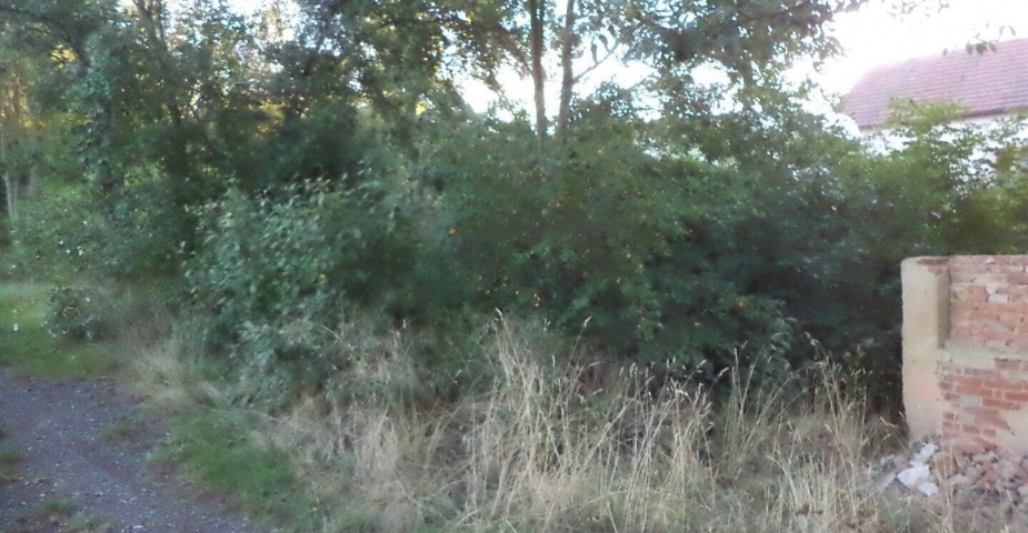 Prodej pozemků Kněževes u Rakovníka