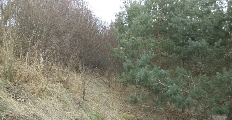 Prodej pozemku Hradec nad Svitavou