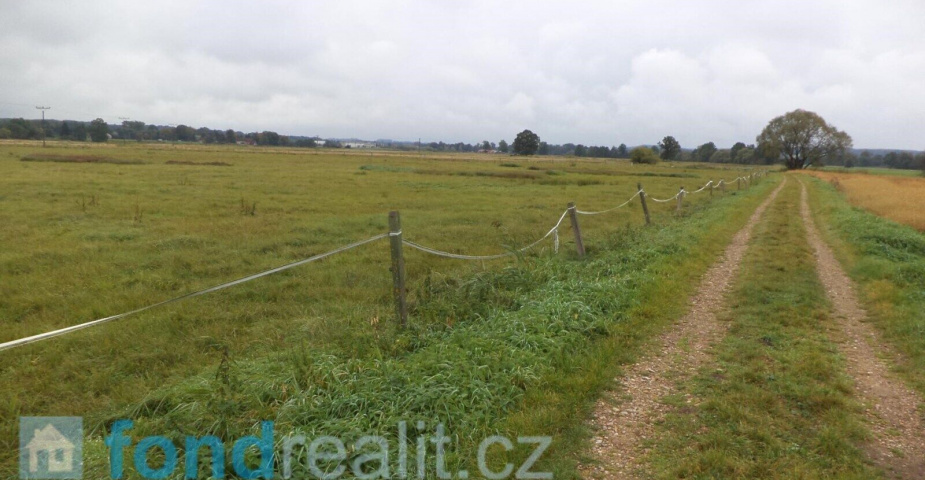 Prodej pozemku Plchovice, podílové spoluvlastnictví 1/2