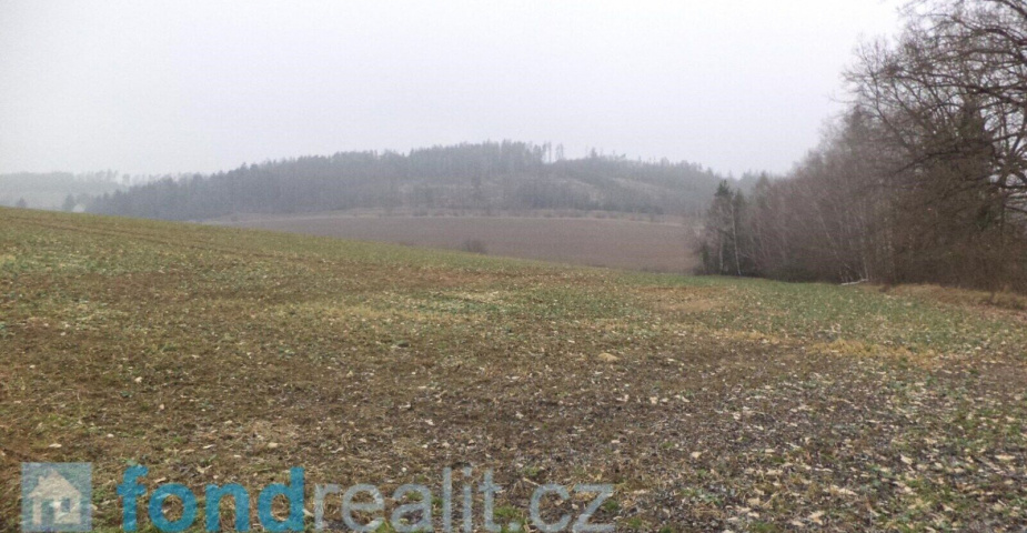 Prodej pozemků Bořkovice, obec Zvěstov, ostatní