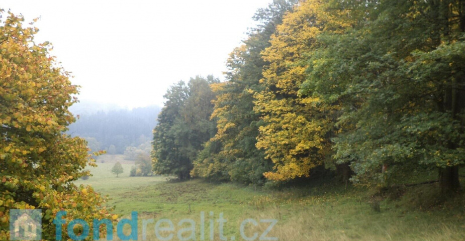 prodej pozemku Málkov u Přimdy