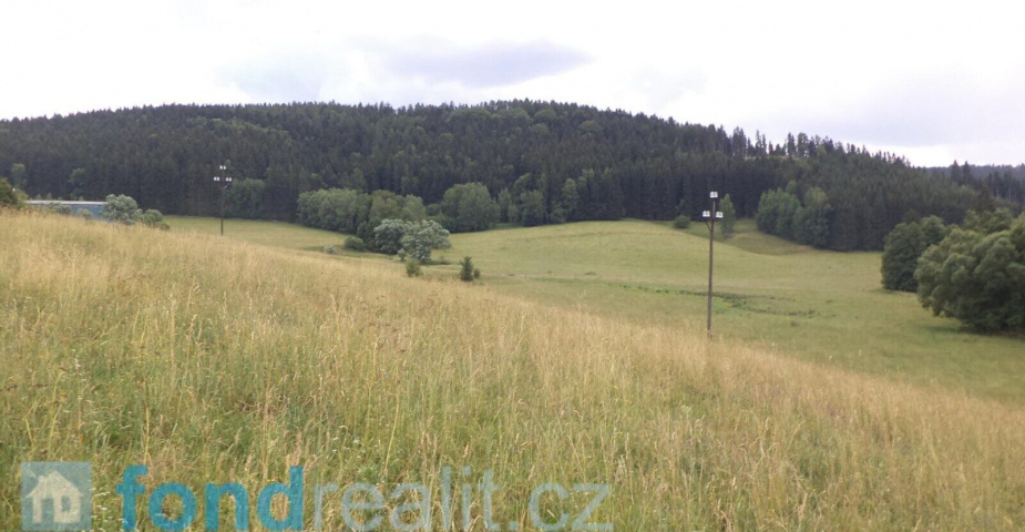 Prodej pozemku Prostřední Staré Buky