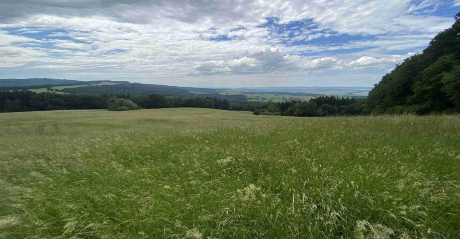 Prodej pozemku Korytná