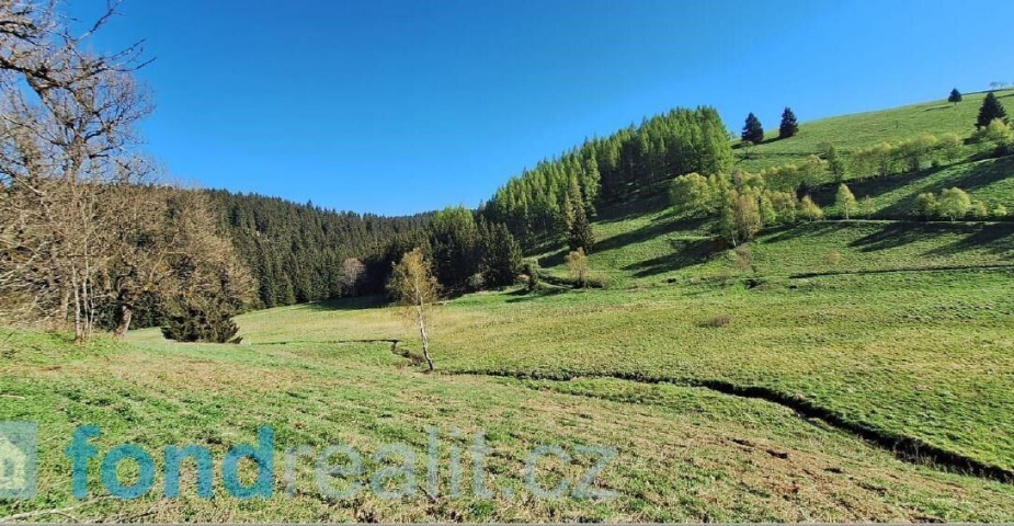 prodej pozemku k.ú Moldava