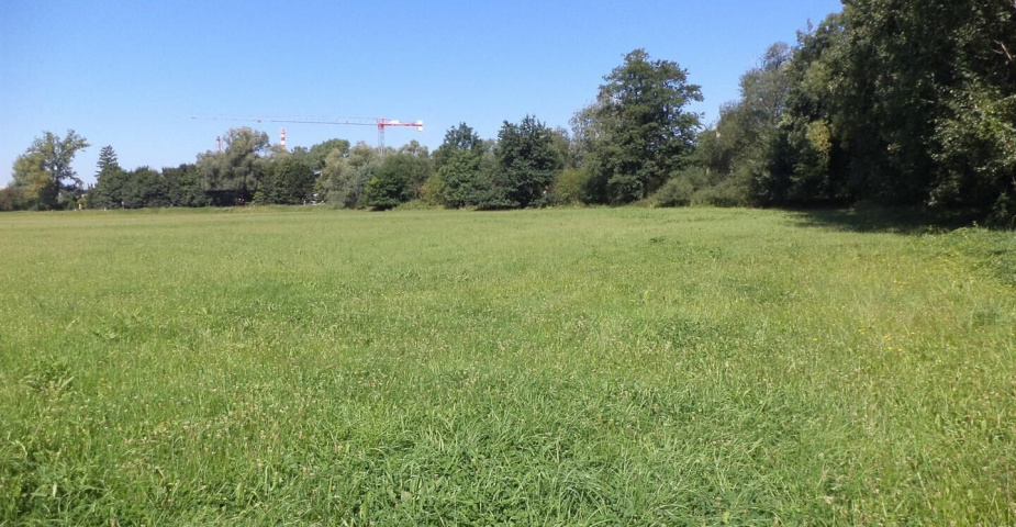 Podílové pozemky Studénka nad Odrou