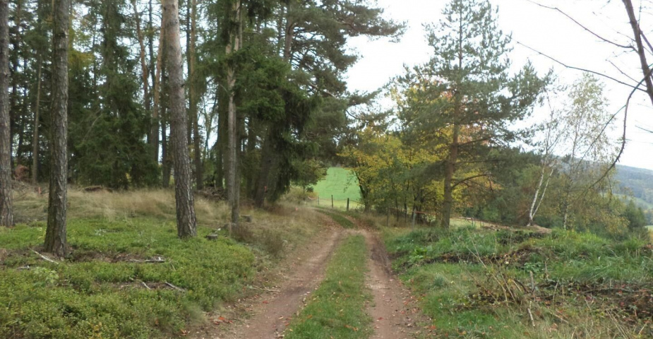 Prodej pozemku Uhlíře, obec Lázně Bělohrad