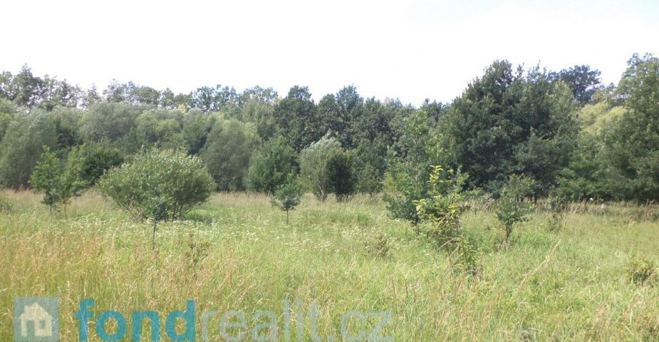 Prodej pozemků Doudleby