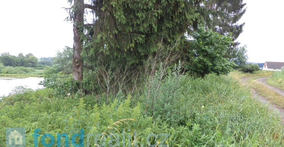 DRAŽBA  pozemku Třebařov