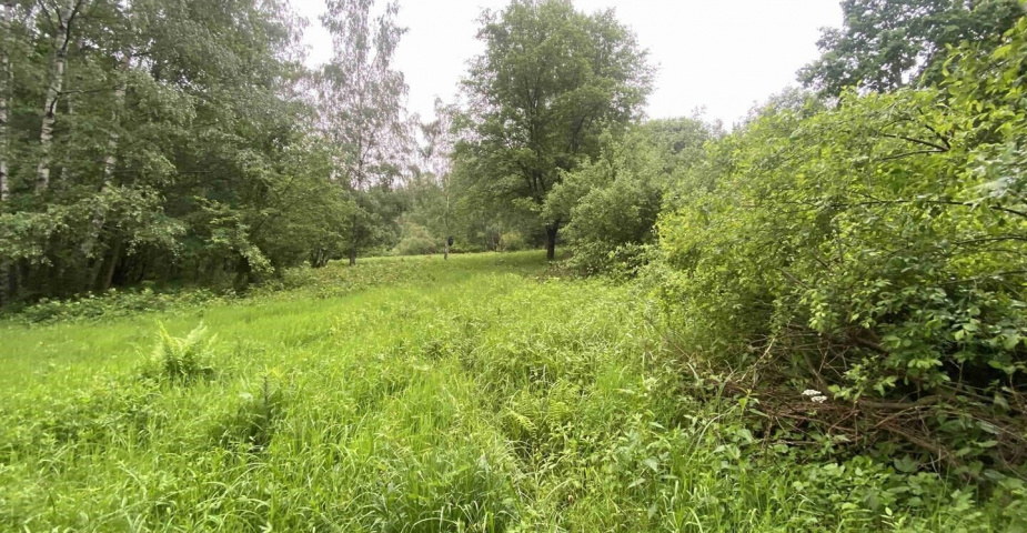 prodej pozemku k.ú. Divišovice u Děpoltic