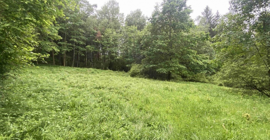 prodej pozemku k.ú. Divišovice u Děpoltic