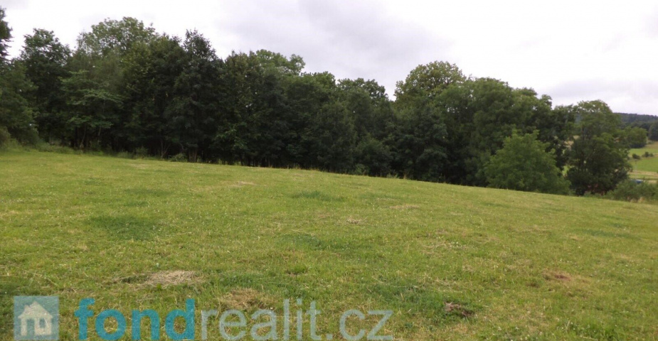 Prodej pozemku Vlčice u Javorníka, obec Vlčice