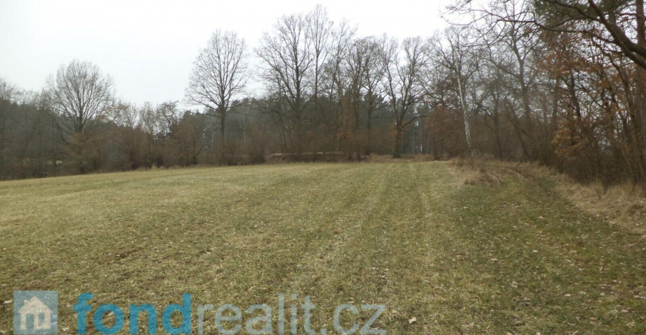 Prodej pozemků Bořkovice, obec Zvěstov, ostatní