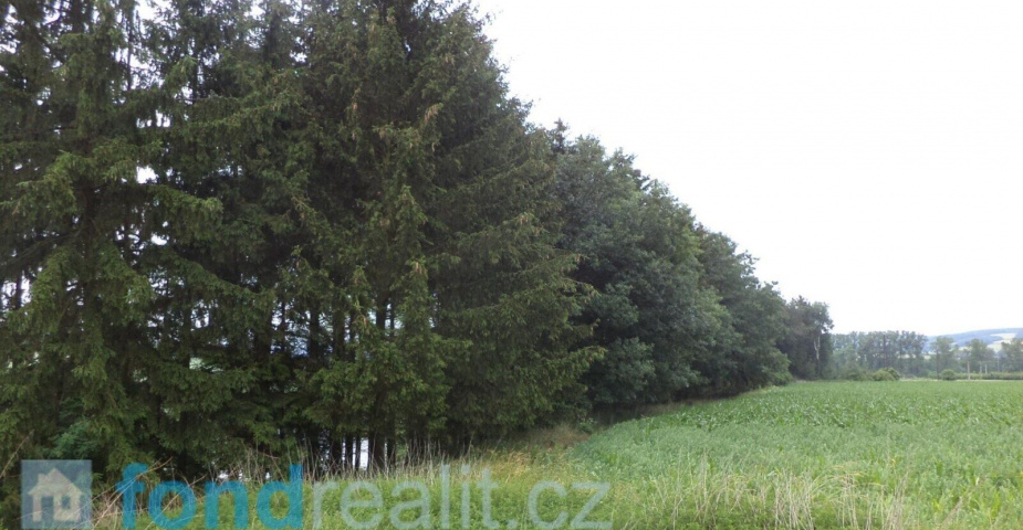 DRAŽBA  pozemku Třebařov