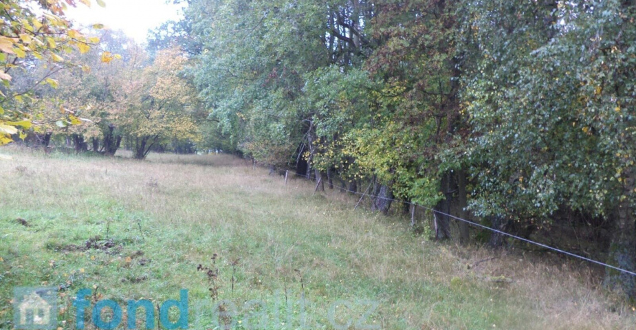 prodej pozemku Málkov u Přimdy