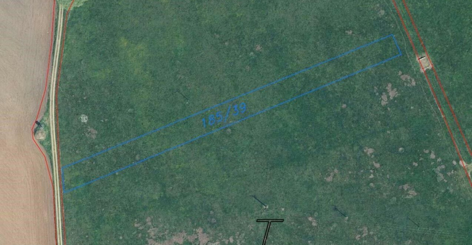 Prodej pozemku Plchovice, podílové spoluvlastnictví 1/2