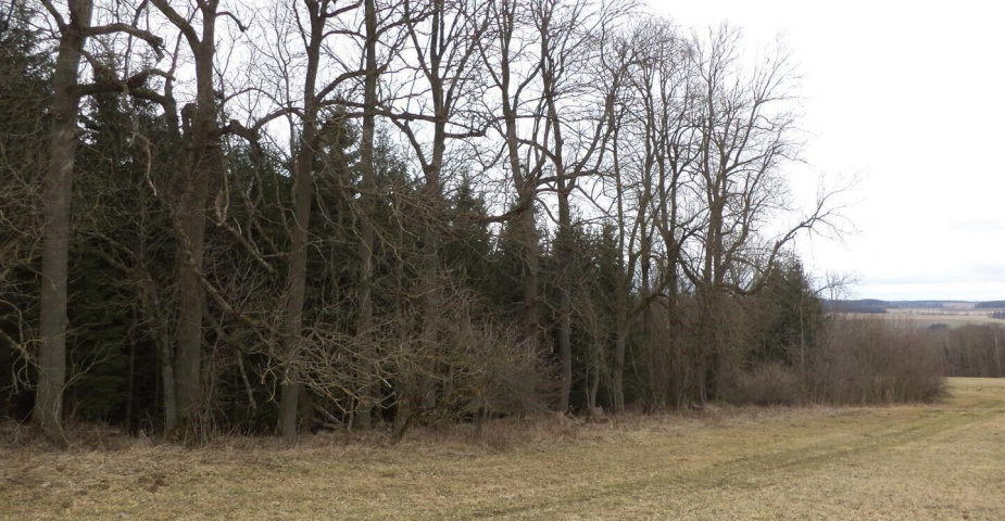 Prodej pozemků Jedlová u Poličky, obec Jedlová, podílové spoluvlastnictví 1/3