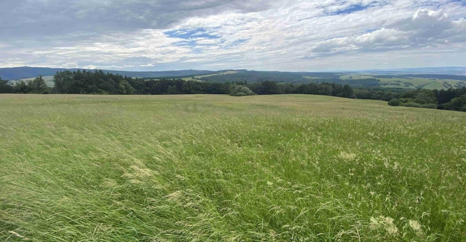 Prodej pozemku Korytná