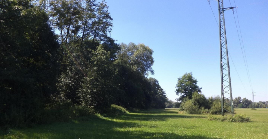 Podílové pozemky Studénka nad Odrou