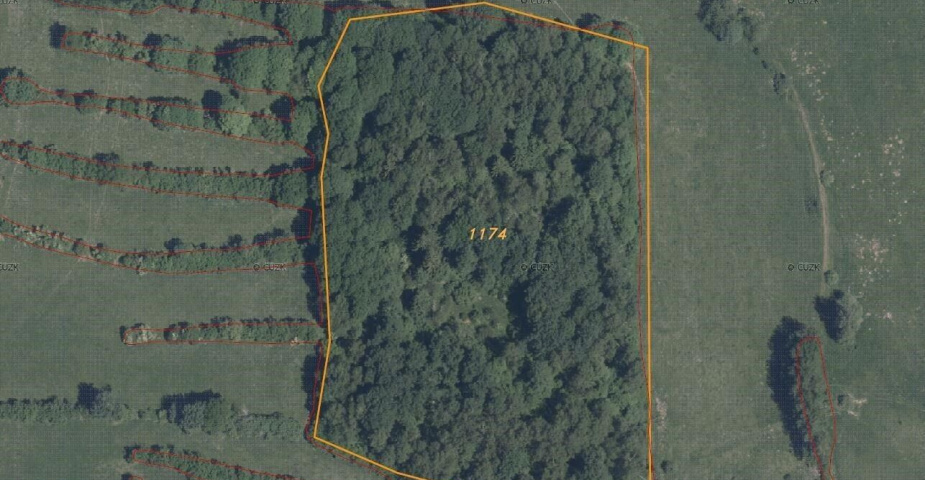 prodej pozemku Málkov u Přimdy