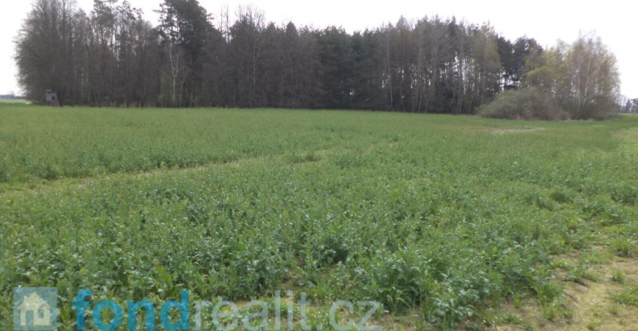 Prodej pozemku Žíšov u Veselí nad Lužnicí