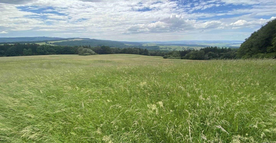 Prodej pozemku Korytná