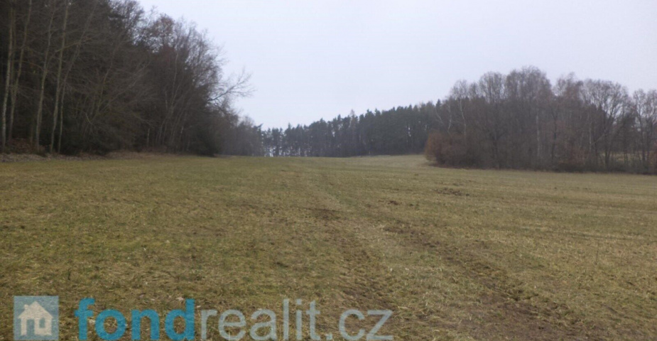 Prodej pozemků Bořkovice, obec Zvěstov, ostatní