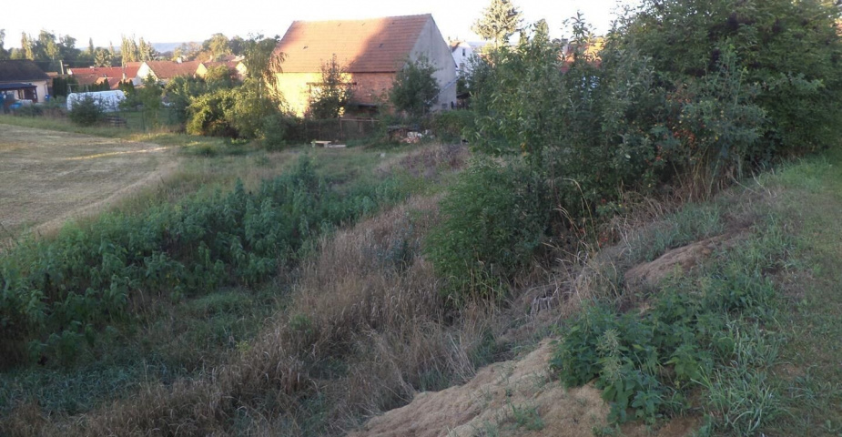 Prodej pozemků Kněževes u Rakovníka