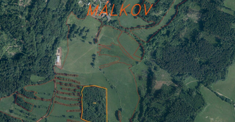 prodej pozemku Málkov u Přimdy