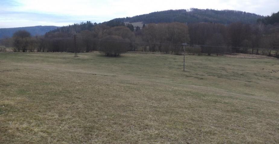 prodej pozemku k.ú Čichořice