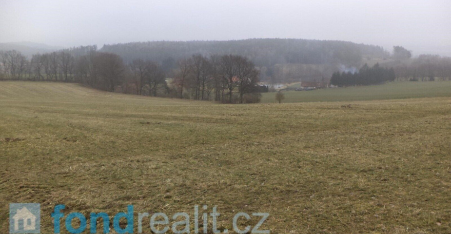 Prodej pozemků Bořkovice, obec Zvěstov, ostatní