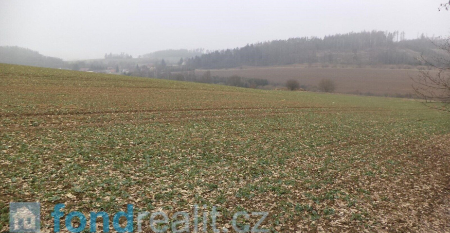 Prodej pozemků Bořkovice, obec Zvěstov, ostatní