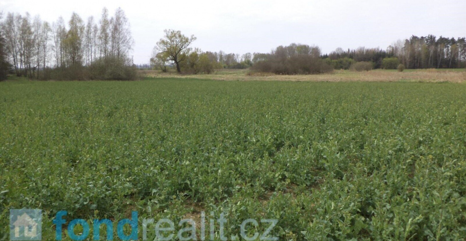 Prodej pozemku Žíšov u Veselí nad Lužnicí