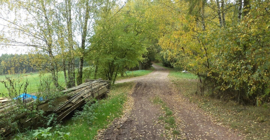 Prodej pozemku Uhlíře, obec Lázně Bělohrad
