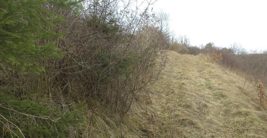 Prodej pozemku Hradec nad Svitavou