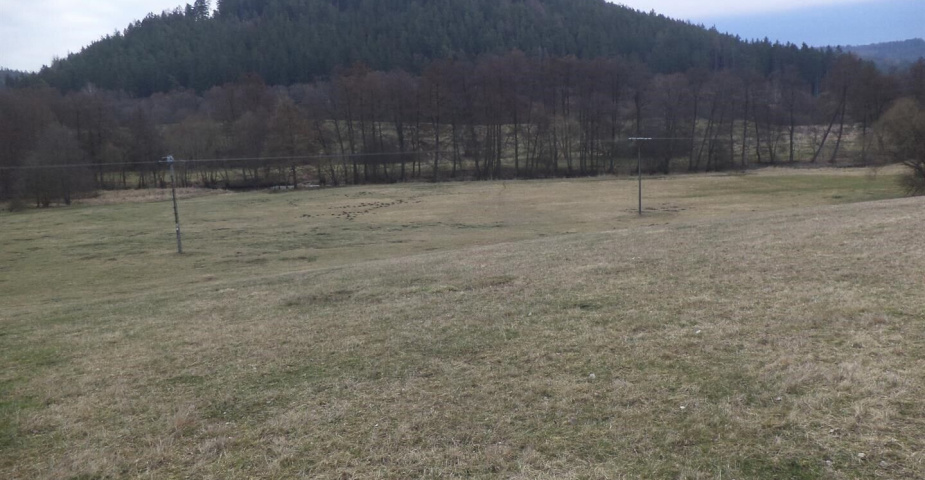 prodej pozemku k.ú Čichořice