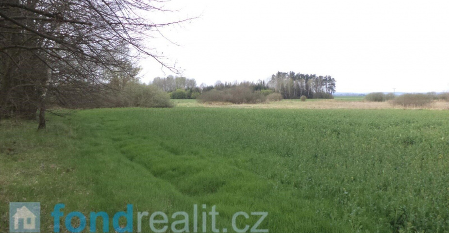 Prodej pozemku Žíšov u Veselí nad Lužnicí