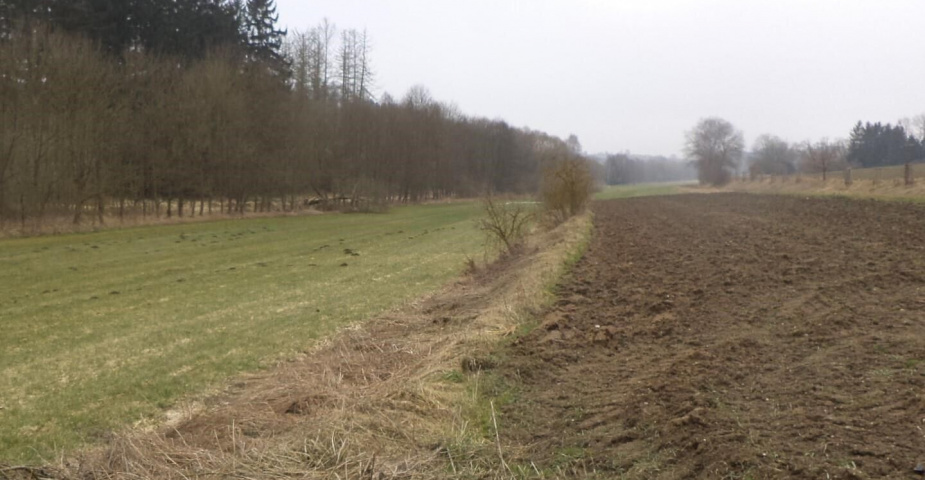 Prodej pozemku Dalkovice, obec Trhový Štěpánov