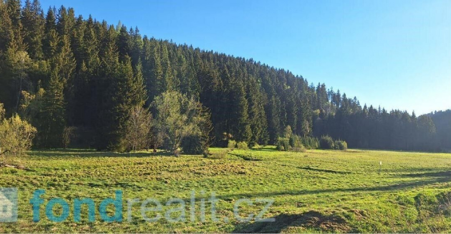 prodej pozemku k.ú Moldava