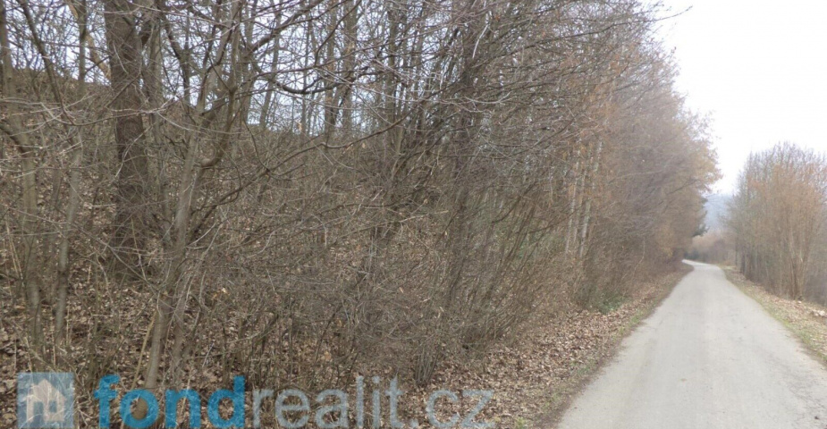 Prodej pozemků Bořkovice, obec Zvěstov, ostatní