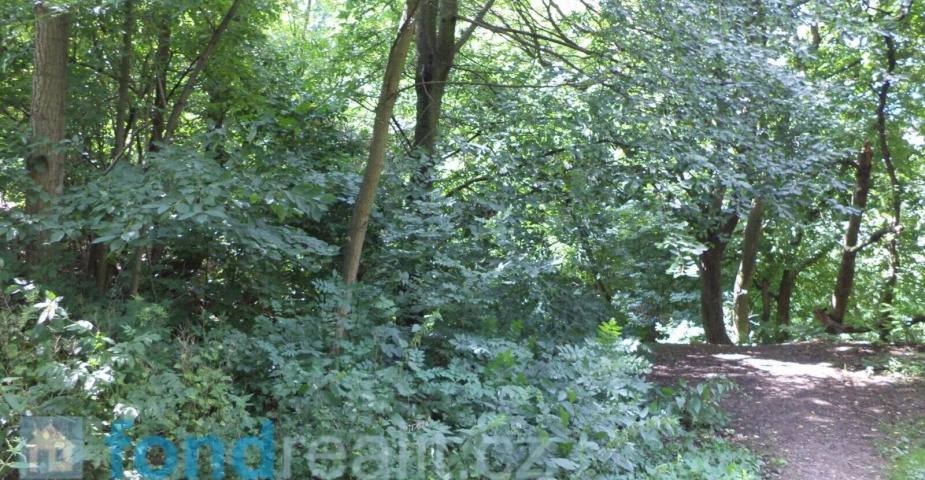 Prodej pozemku Ústí nad Labem