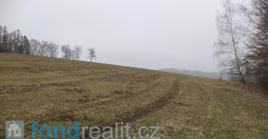 Prodej pozemků Bořkovice, obec Zvěstov, ostatní