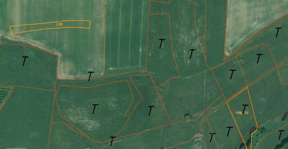 Prodej zemědělských pozemků Hrbov u Lhenic